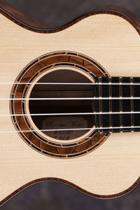 acoustic guitar