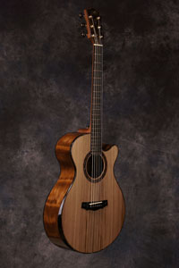 acoustic guitar