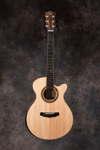 acoustic guitar