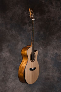 acoustic guitar