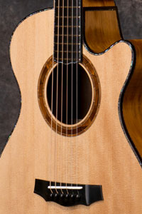 acoustic guitar